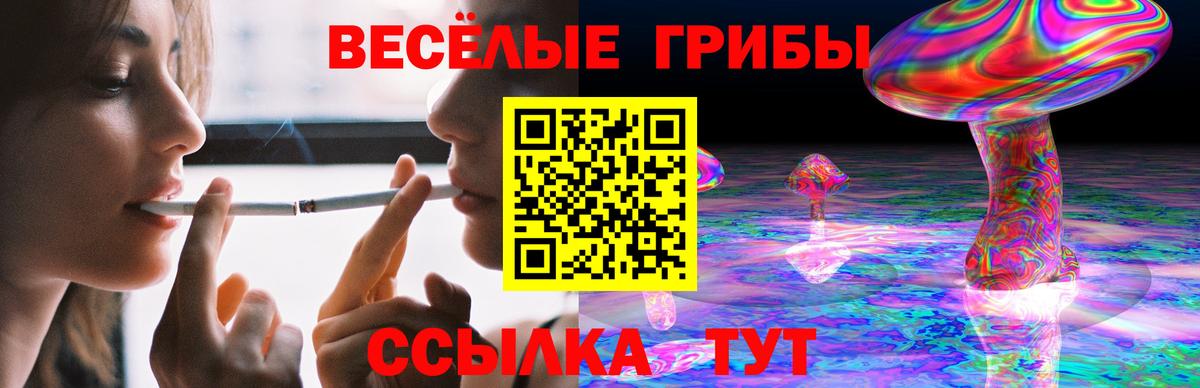 Белорецк  сколько стоит  Вход с VPN  Галлюциногенные грибы Psilocybe 
